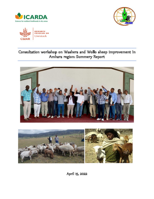 Consultation workshop on Washera and Wollo sheep improvement In Amhara region: Summary Report