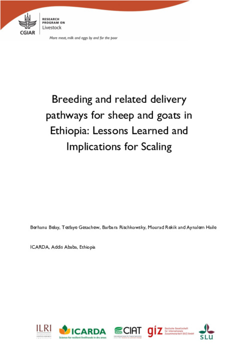 Breeding and related delivery pathways for sheep and goats in Ethiopia: Lessons Learned and Implications for Scaling 