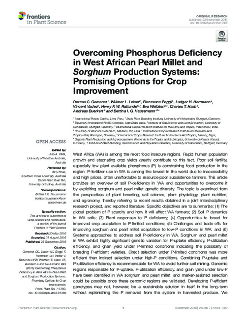 Overcoming phosphorus deficiency in West African pearl millet and sorghum production systems: promising options for crop improvement