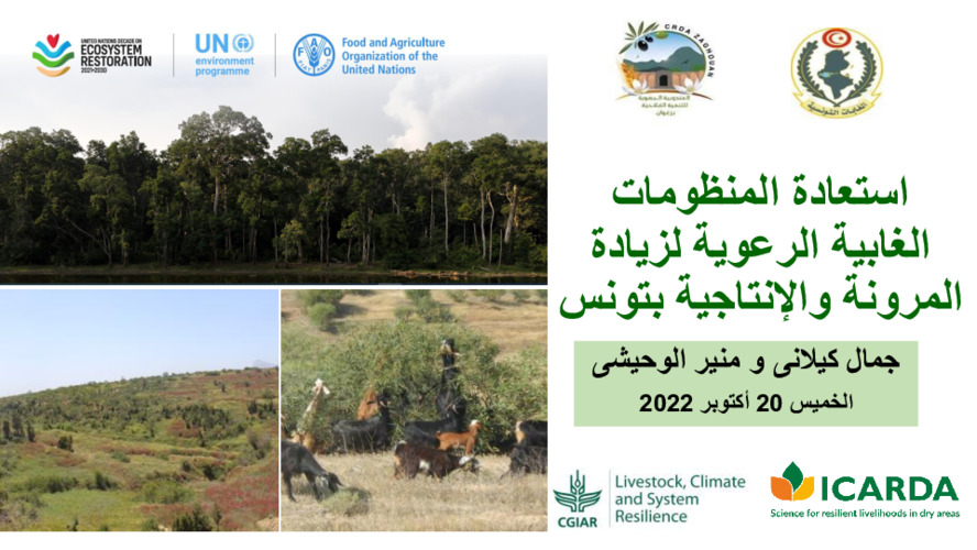 استعادة المنظومات الغابية الرعوية لزيادة المرونة والإنتاجية بتونس