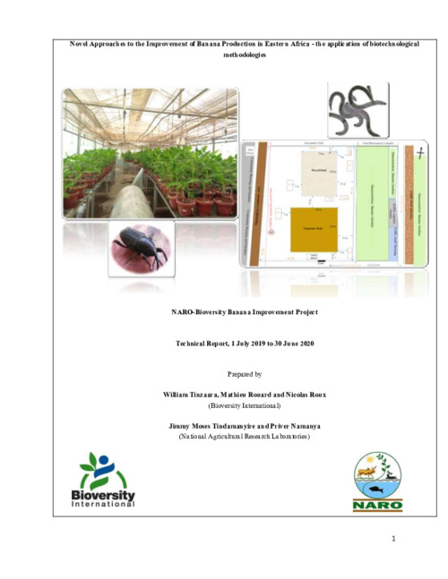 2019 Technical report - Novel Approaches to the Improvement of Banana Production in Eastern Africa: The Application of Biotechnological Methodologies - Phase I