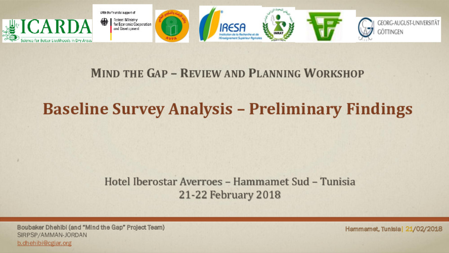 Baseline survey presentation Mind the Gap project