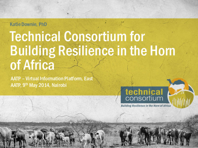 Technical Consortium for Building Resilience in the Horn of Africa