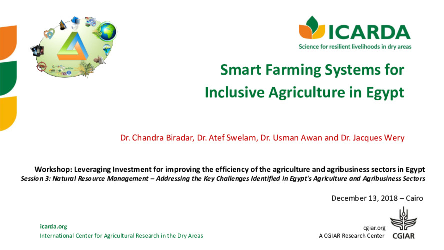 Smart Farming Systems for Inclusive Agriculture in Egypt