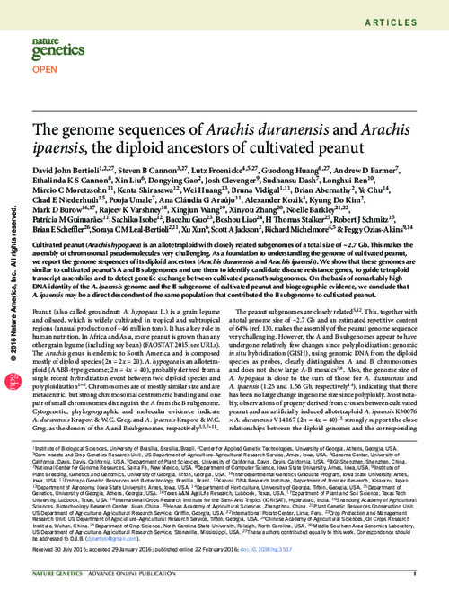 The genome sequences of Arachis duranensis and Arachis ipaensis, the diploid ancestors of cultivated peanut