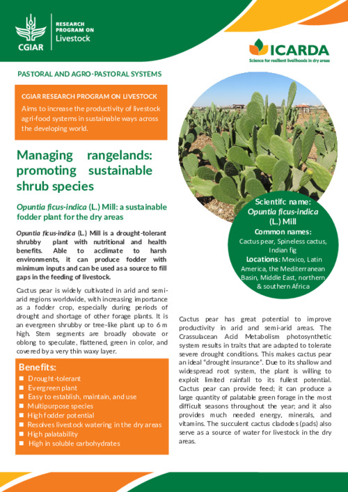 Managing rangelands: promoting sustainable shrub species: Opuntia ficus-indica (L.) Mill: a sustainable fodder plant for the dry areas