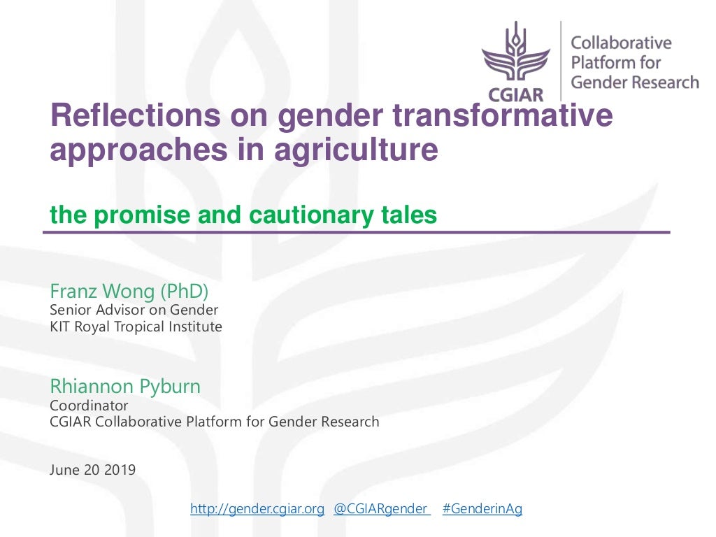 Reflections On Gender Transformative Approaches In Agriculture The Promise And Cautionary