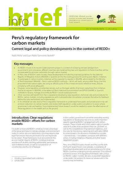 Peru’s regulatory framework for carbon markets: Current legal and policy developments in the context of REDD+