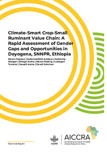 Climate Smart Crop-Small Ruminant Value Chain: a Rapid Assessment of Gender Gaps and Opportunities In Doyogena, SNNPR, Ethiopia
