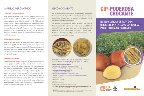 CIP-Poderosa crocante. Nuevo cultivar de papa con resistencia a la rancha y calidad para fritura en bastones