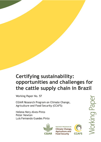 Certifying sustainability: opportunities and challenges for the cattle supply chain in Brazil