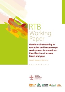 Gender mainstreaming in root tuber and banana crops seed systems interventions: identification of lessons learnt and gaps.