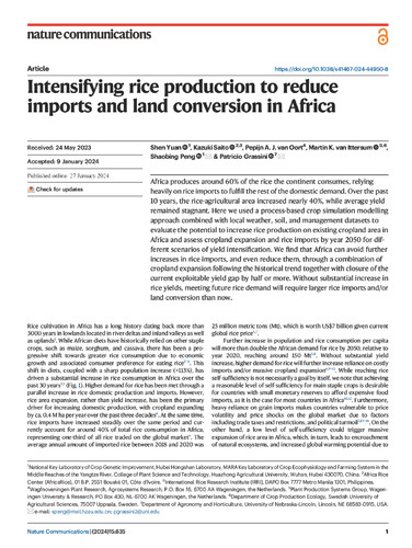 Intensifying rice production to reduce imports and land conversion in Africa