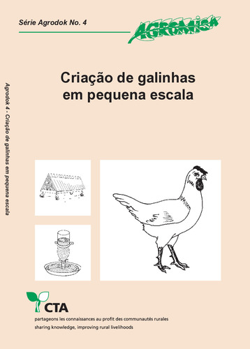 Criação de galinhas em pequena escala