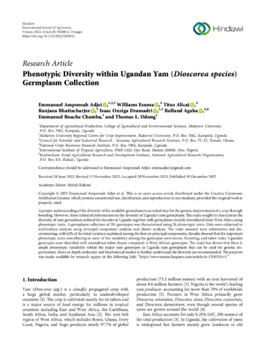 Phenotypic diversity within Ugandan yam (Dioscorea species) germplasm collection