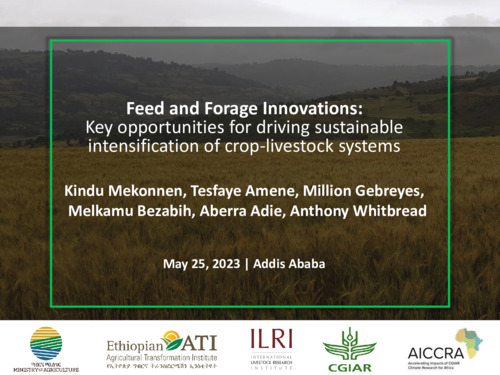 Feed and Forage Innovations: Key opportunities for driving sustainable intensification of crop-livestock systems