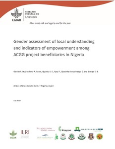 Gender assessment of local understanding and indicators of empowerment among ACGG project beneficiaries in Nigeria