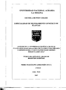 Análisis de la diversidad genética de ocas cultivadas (oxalis tuberosa mol.) De cuatro comunidades campesinas del Cuzco usando marcadores moleculares AFLP