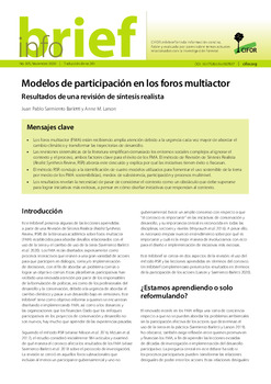 Modelos de participación en los foros multiactor: Resultados de una revisión de síntesis realista