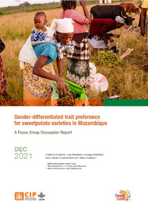 Gender-differentiated trait preferences for sweetpotato varieties in Mozambique. A Focus Group Discussion Report.