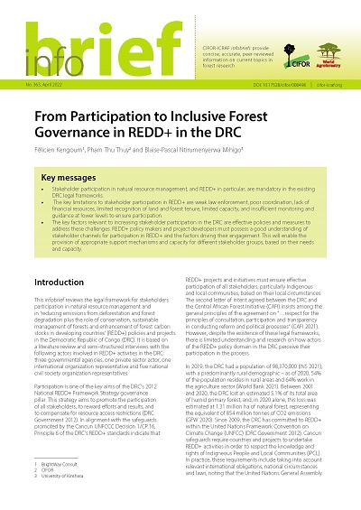 From Participation to Inclusive Forest Governance in REDD+ in the DRC
