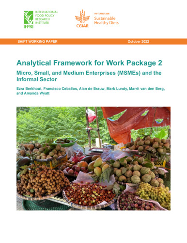 Analytical Framework for Work Package 2: Micro, Small, and Medium Enterprises (MSMEs) and the Informal Sector