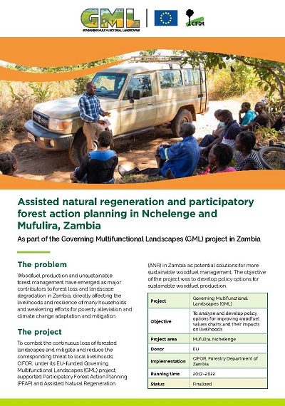Assisted natural regeneration and participatory forest action planning in Nchelenge and Mufulira, Zambia