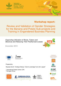 Review and validation of gender strategies for the banana and potato sub-projects and training in engendered business planning.
