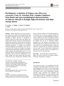 Participatory evaluation of Guinea yam (Dioscorea cayenensis Lam.–D. rotundata Poir. complex) landraces from Benin and agro-morphological characterization of cultivars tolerant to drought, high soil moisture and chips storage insects