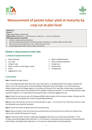Measurement of potato tuber yield at maturity by crop cut at plot level