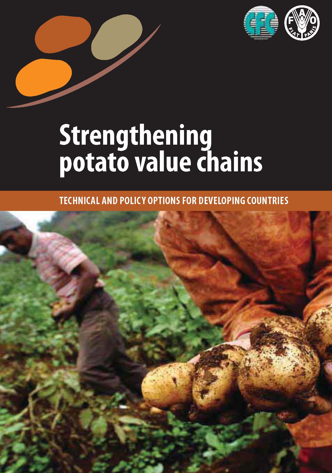Strengthening potato value chains: Technical and policy options for developing countries.