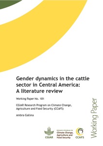 Gender dynamics in the cattle sector in Central America: A literature review
