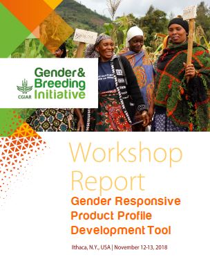 Gender-Responsive product profile development tool. Workshop Report. November 12-13. Ithaca, USA