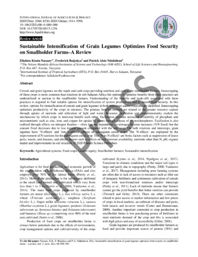 Sustainable intensification of grain legumes optimizes food security on smallholder farms: a review