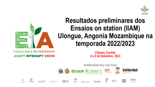 Resultados preliminares dos Ensaios on station (IIAM) Ulongue, Angonia Mozambique na temporada 2022/2023