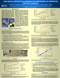 Wild Manihot species as a source for resistance to artropod pests of cassava