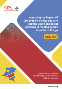 Assessing the impact of COVID-19 on gender equality and the youth and social inclusion in the Democratic Republic of Congo