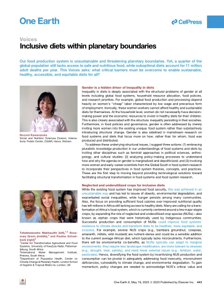 Inclusive diets within planetary boundaries