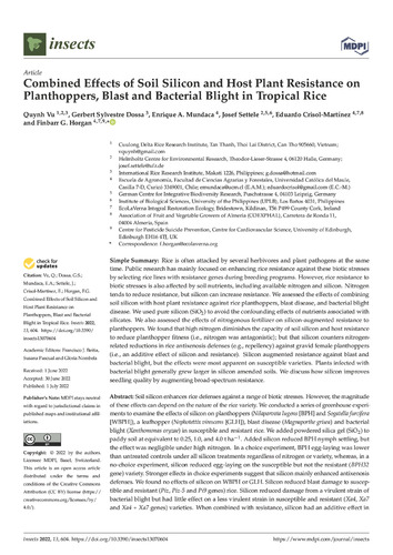 Combined effects of soil silicon and host plant resistance on planthoppers, blast and bacterial blight in tropical rice