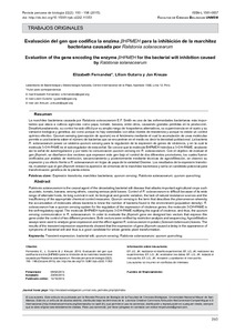 Evaluacion del gen que codifica la enzima <beta>HPMEH para la inhibicion de la marchitez bacteriana causada por Ralstonia solanacearum.