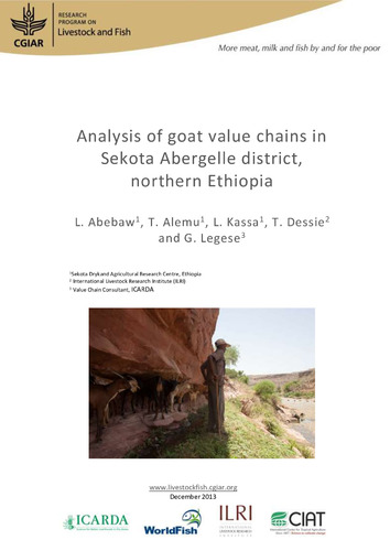 Analysis of goat value chains in Sekota Abergelle district, northern Ethiopia