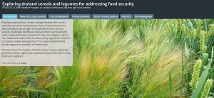 Exploring dryland cereals and legumes for addressing food security: ATLAS DCL CGIAR, Research Program on Dryland Cereals and Legumes Agri-Food Systems