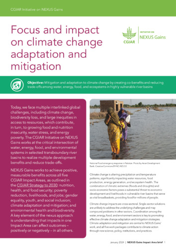 Focus and impact on climate change adaptation and mitigation