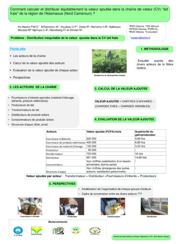 Comment calculer et distribuer équitablement la valeur ajoutée dans la chaîne de valeur (CV) ''lait frais'' de la région de l'Adamaoua (Nord Cameroun) ?