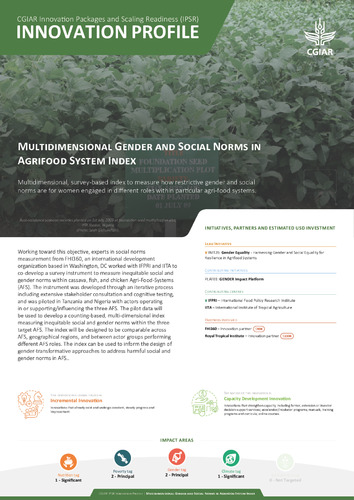 Multidimensional Gender and Social Norms in Agrifood System Index