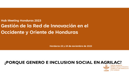 Hub meeting Honduras: Gestión de la red de innovación en el occidente y oriente de Honduras. ¿Porque genero e inclusion social en Agrilac?