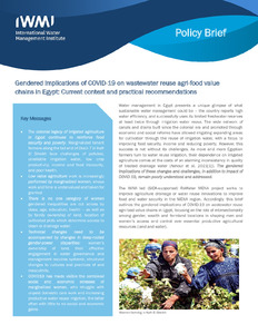Gendered implications of COVID-19 on wastewater reuse agri-food value chains in Egypt: Current context and practical recommendations