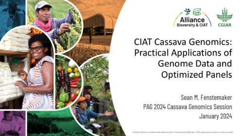 CIAT cassava genomics: Practical applications of genome data and optimized panels