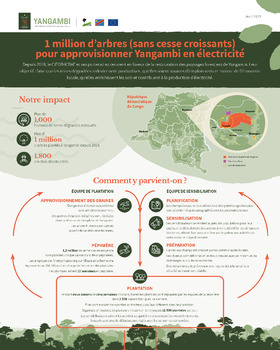 1 million d’arbres (sans cesse croissants) pour approvisionner Yangambi en électricité