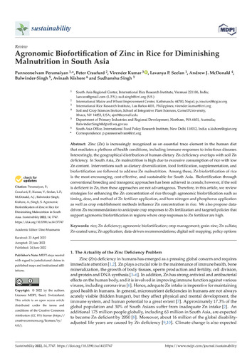 Agronomic biofortification of zinc in rice for diminishing malnutrition in South Asia